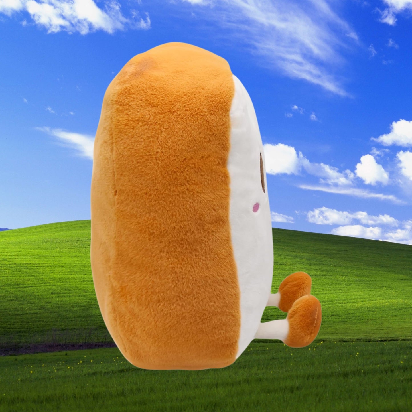 Mr. Bready :)